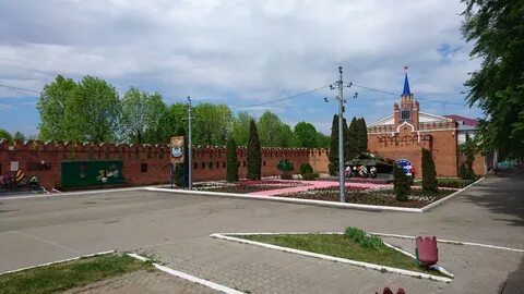 Поселок лев