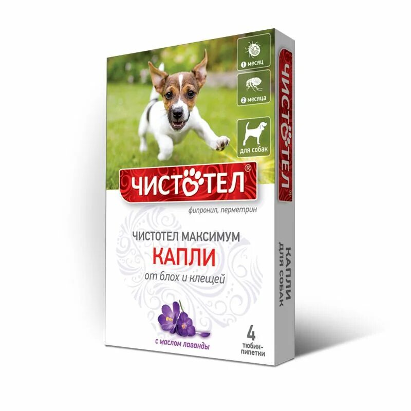 Ошейник "чистотел" от блох и клещей для собак 65см. Чистотел от блох для собак. Чистотел капли от блох для собак. Чистотел ошейник от блох и клещей максимум для кошек. Ошейник от блох чистотел