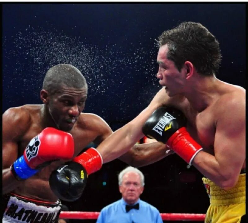 профессиональный бокс последние титульные