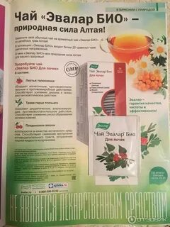 Эвалар почечный