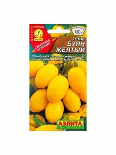 Буян желтый характеристика