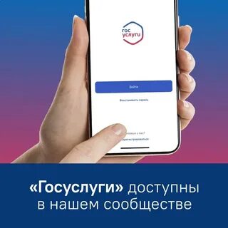 Запись в кружки через