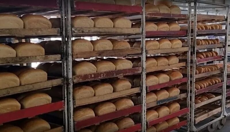 Тонна хлеба. Упаковка в лотках хлебобулочные изделия. 1 тонна хлеба. Лидер по производству сыра в мире. Оао владимирский хлебокомбинат.