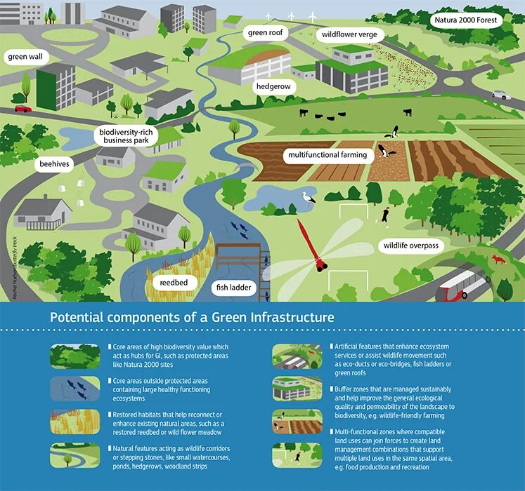 A specially built area containing a lot. Blue- green infrastructure. urban infrastructure. green area in buildings. bgi blue and green infrastructure.