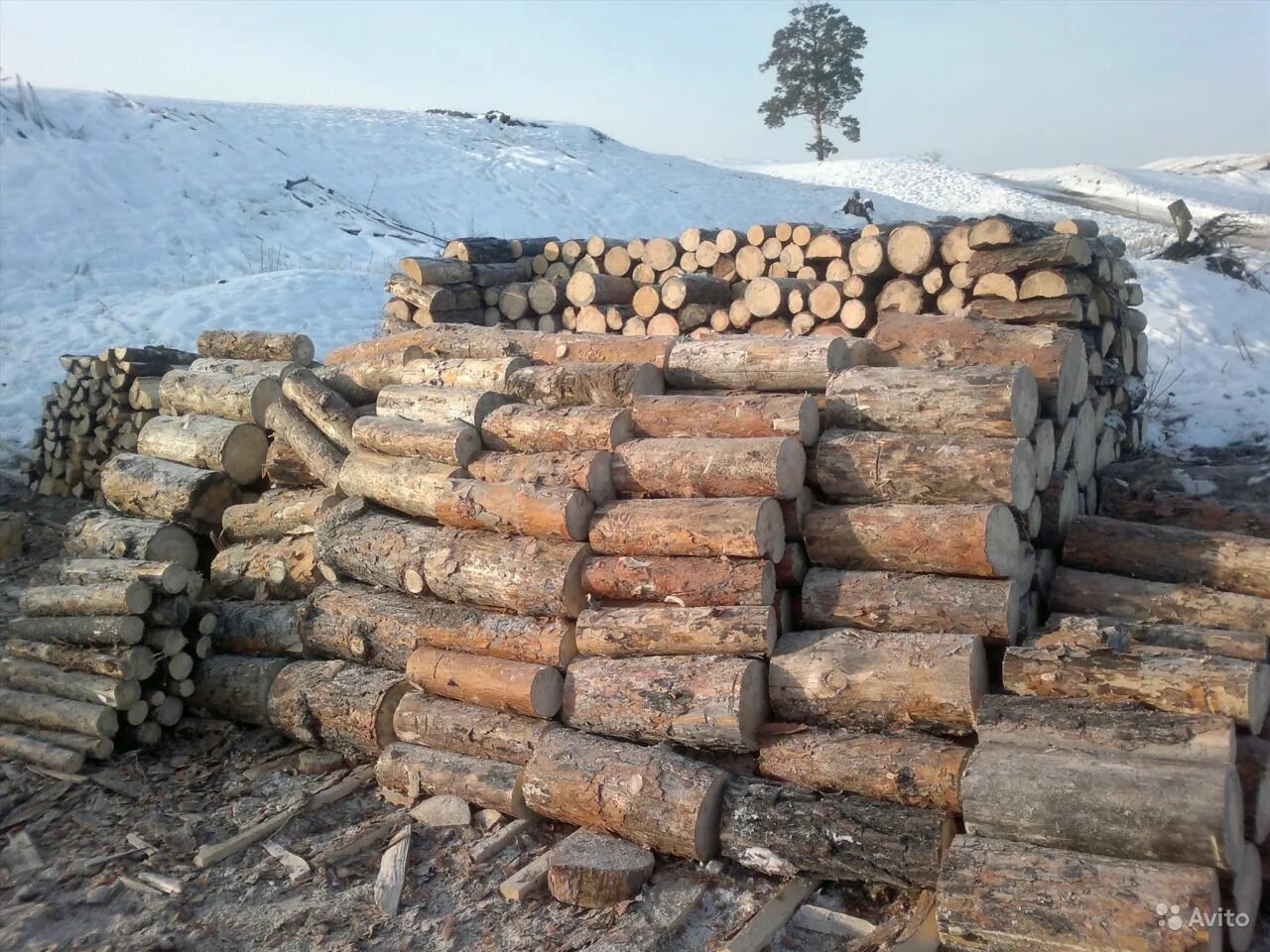 4 куба дров берёза. Дрова сухостой чурками. Дрова тополь. Дрова сосна сухая. Дрова сосна сухая.
