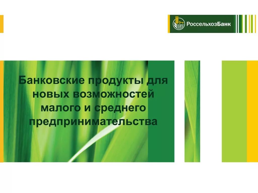 Банковские продукты россельхозбанка. Продукты россельхозбанка. Мобильный банк в россельхозбанке. Россельхозбанк продукты банка. Презентация россельхозбанк о банке.
