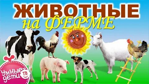 Животные для детей видео развивающее 4
