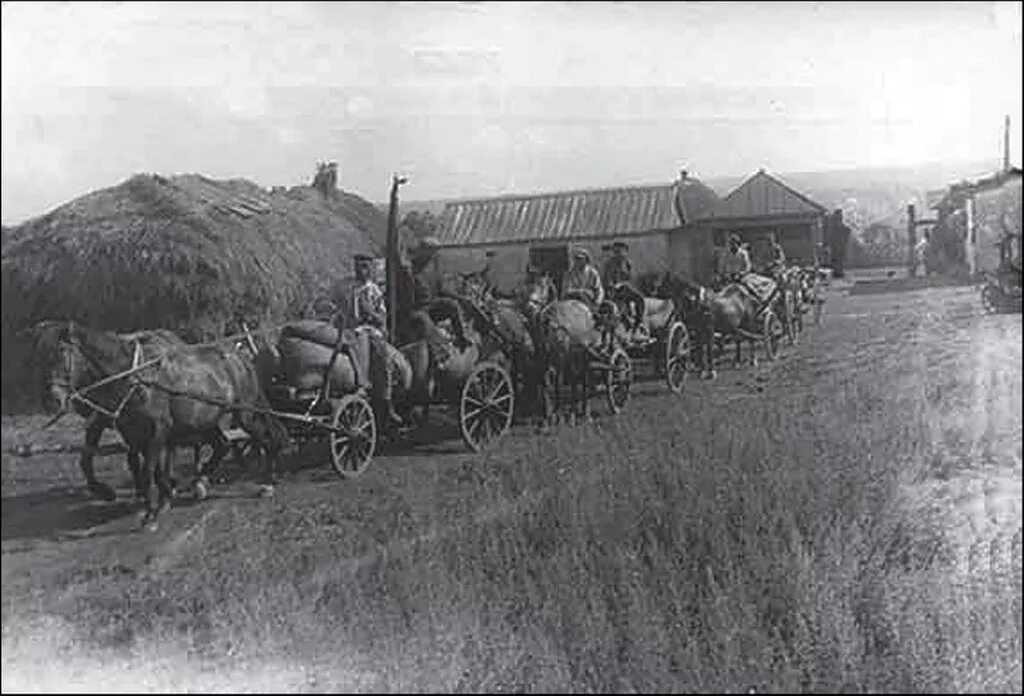 Раскулачивание крестьян Саратовской и Самарской области. СССР В 1930е годы деревня. Колхозная деревня в 1930-е. Алтайский край сельское хозяйство 19 век.