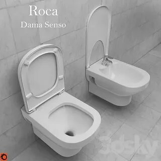 Рока дама сенсо
