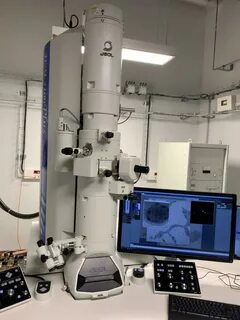 Transmission microscopy