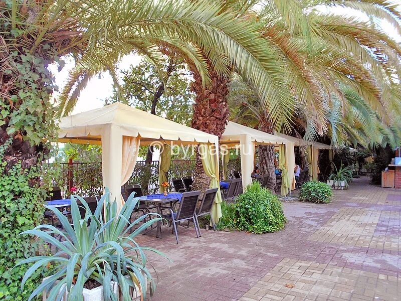 пансионат бургас ресторан. санаторий бургас сочи. ао "пансионат "бургас". сочи ленина 233 бургас пансионат. сочи ленина 233 бургас пансионат.