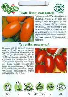 Томат банану характеристики
