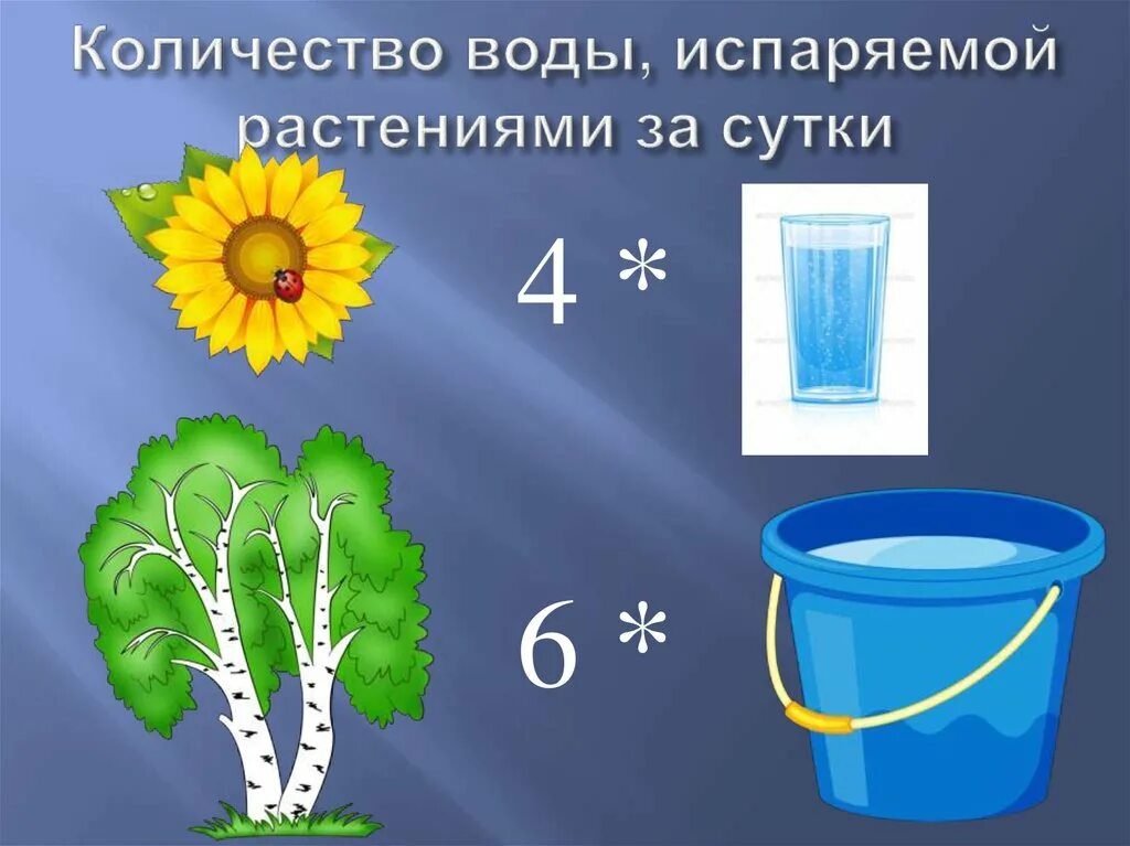 Водяная числа