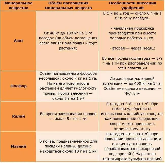 Подкормка малины удобрениями