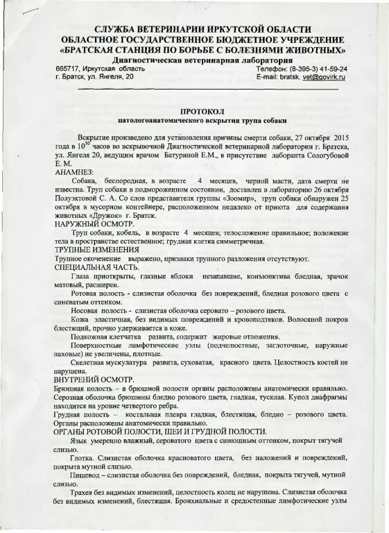 Акт вскрытия животного. Протокол патологоанатомического вскрытия. Ветеринария.акт вскрытия трупа животного. Протокол патологоанатомического вскрытия трупа животного. Протокол патологоанатомического вскрытия трупа коровы.