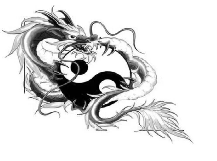 Китайский дракон инь янь. Тату инь янь дракон и феникс. Тату 2 дракона инь янь. Восточный дракон инь янь. Уроборос трайбл.