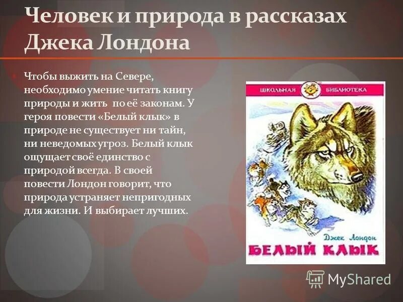 Джек Лондон Северные рассказы. Герое из повести белый клык. Картинки человек и природа в рассказах Джека Лондона. Читать рассказ джек