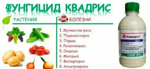 Квадрис на 10 литров
