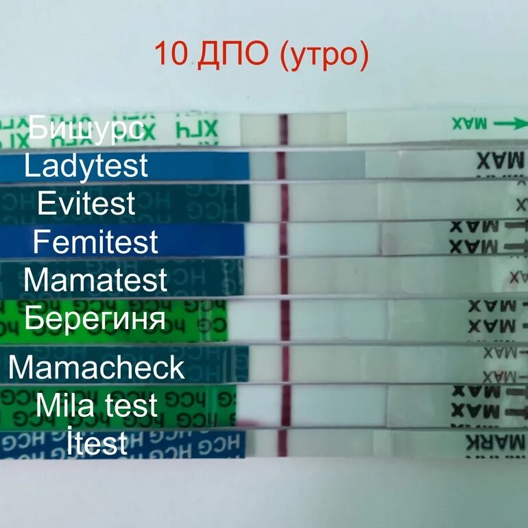 Тест это утро. Тест на беременность ДПО. 10 ДПО тест. 11 ДПО тест на беременность. Тест на беременность 10 ММЕ/мл 10 ДПО.