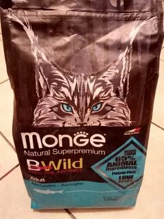 Monge bwild