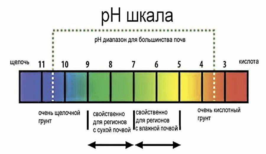 Кислотность азота. Кислотность почвы показатели PH. РН почвы шкала. Шкала кислотности PH почвы. Шкала кислотности почвы.