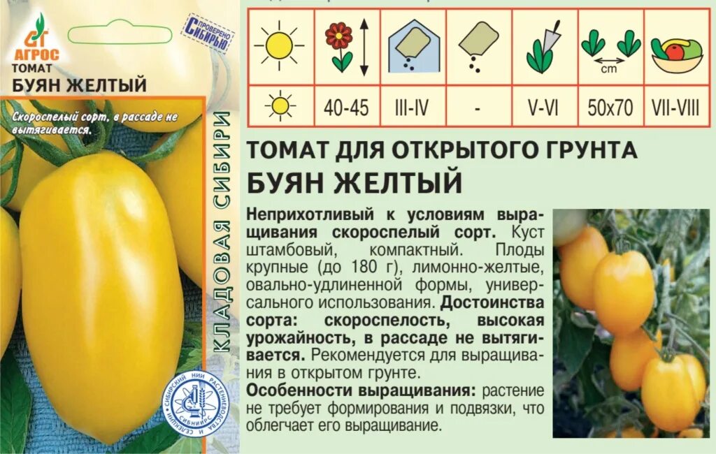Семена Томат Боец (Буян): описание сорта, фото - купить с доставкой или почтой Р