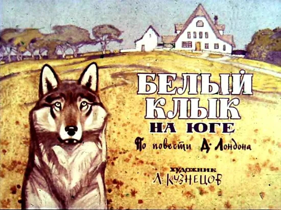 Белый клык содержание. Белый клык джек лондон кичи. белый клык джек лондон диафильм. белый клык на юге. диафильм по джеку лондону.