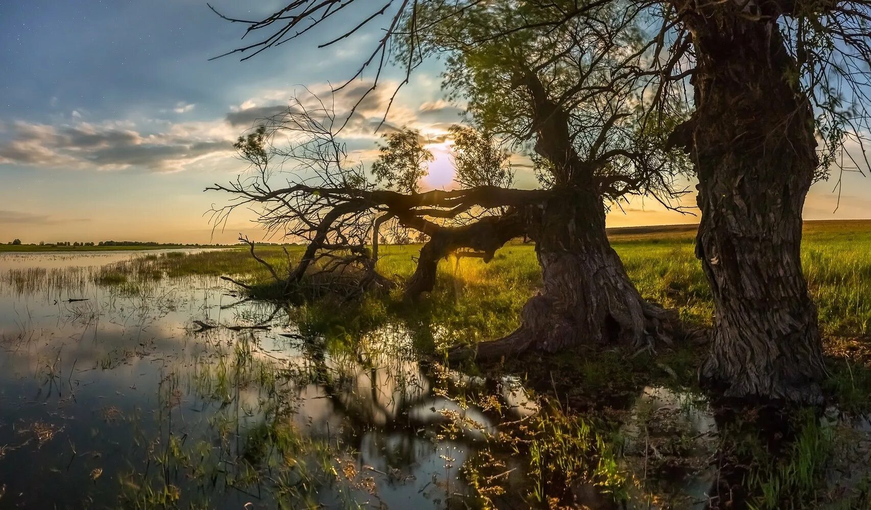 астраханская область природа волга. река волга астрахань. дельта волги. астраханский заповедник астрахань. река волга астрахань.