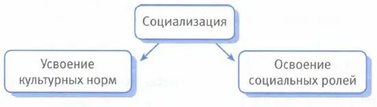 К примерам институционализированных социальных ролей можно отнести Плюрализм современной западной социологии