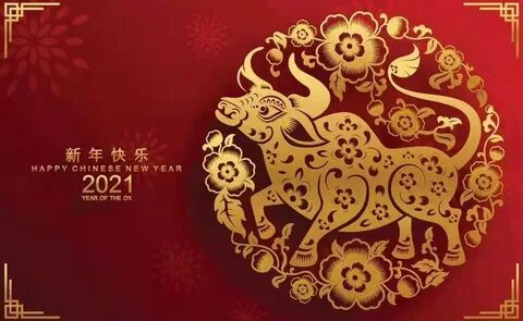 Cny mt