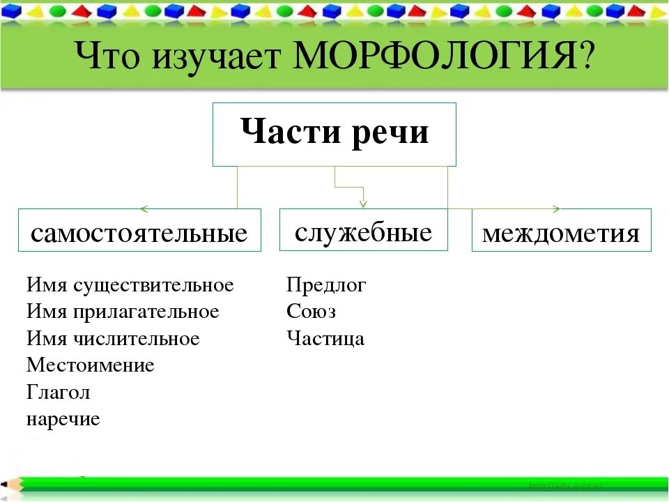 Морфология изучает части речи