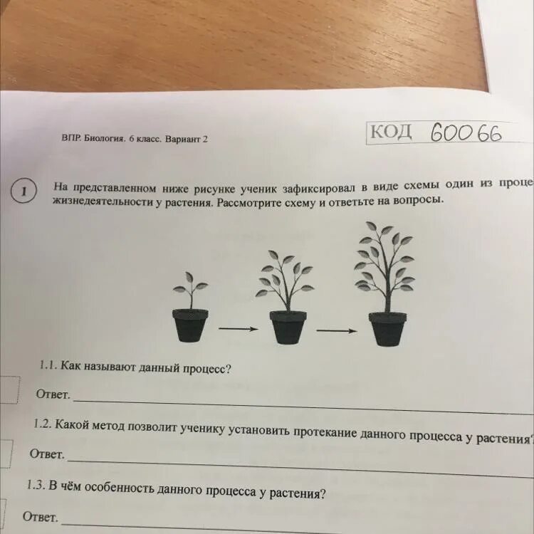 Хорошо весной кругом все зелено впр ответы. Процесс жизнедеятельности растений рассмотрите схему. Схемы процессов жизнедеятельности растений ученик зафиксировал. Процесс жизнедеятельности растений схема. Схема одного из процессов жизнедеятельности растений.