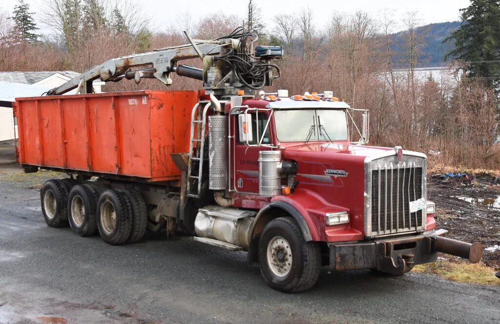 Dump logs