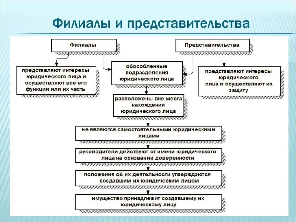 Филиал и главная организация. Представительство и филиал отличия. Чем отличается филиал от представительства юридического лица. Различия филиалов и представительств юридического лица. Филиалы и представительства юр лиц сходства.