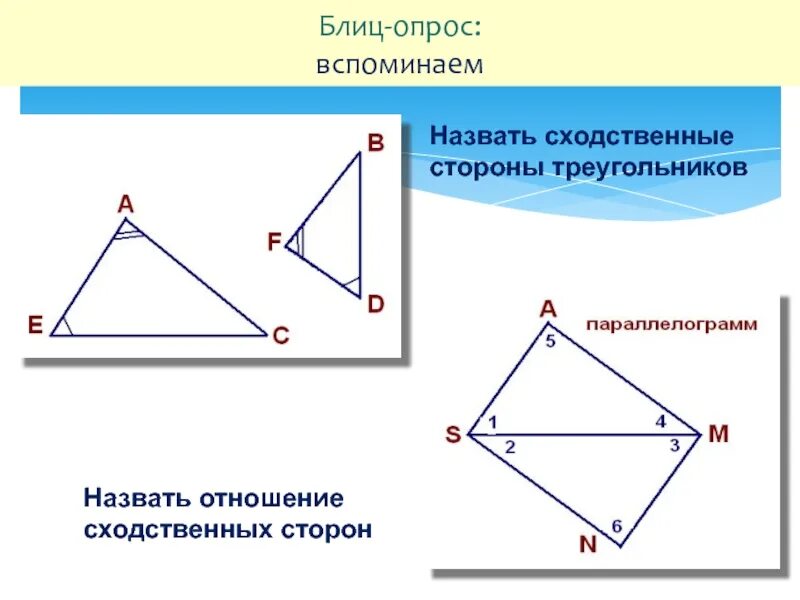 Общая сторона треугольников. Как называется общая сторона треугольников. Отношение сходственных сторон. Как показать общую сторону треугольников.