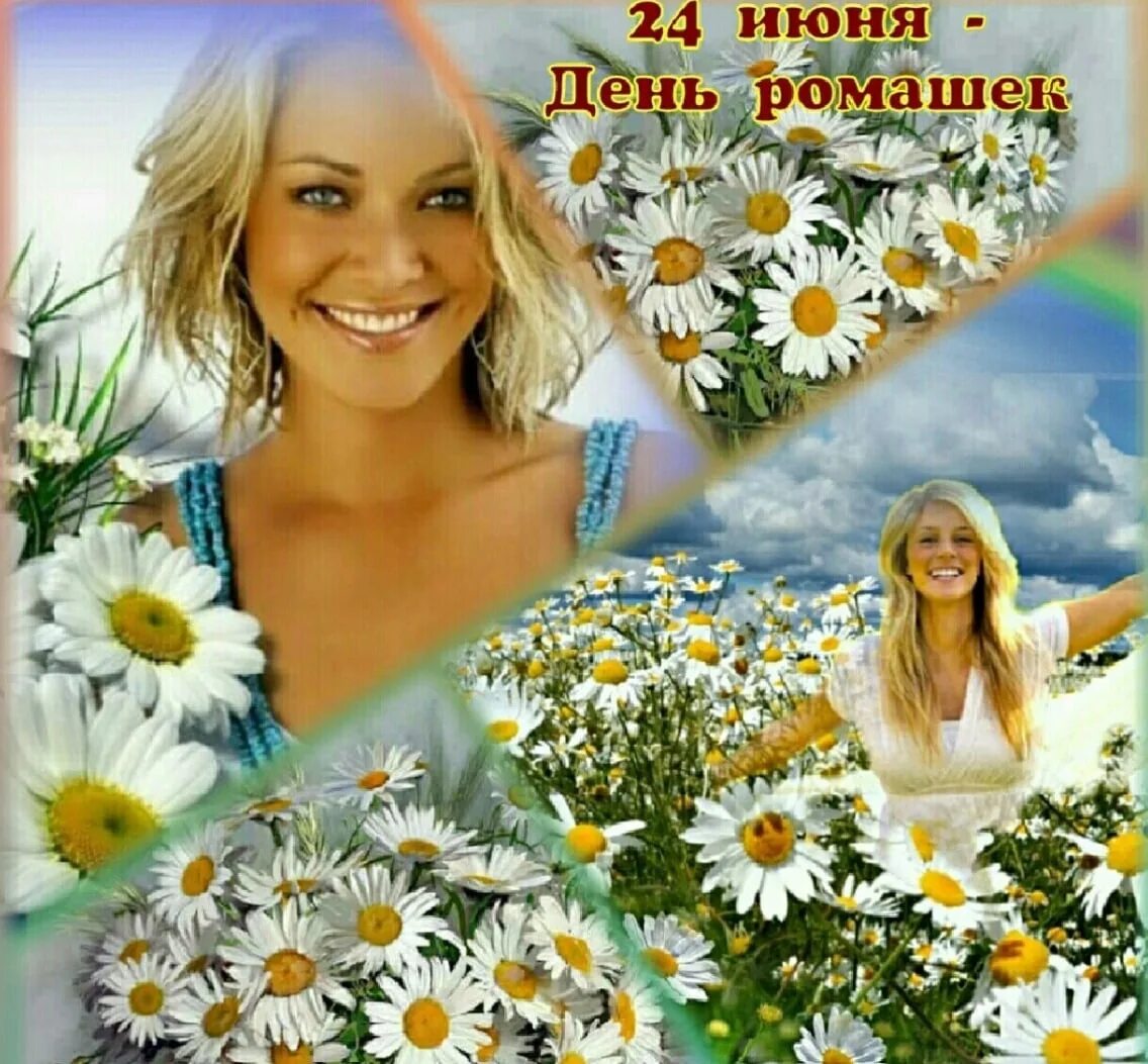 Ромашкового дня
