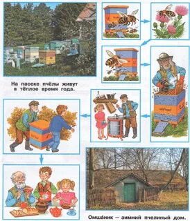 Путешествуем и познаем мир 5 класс