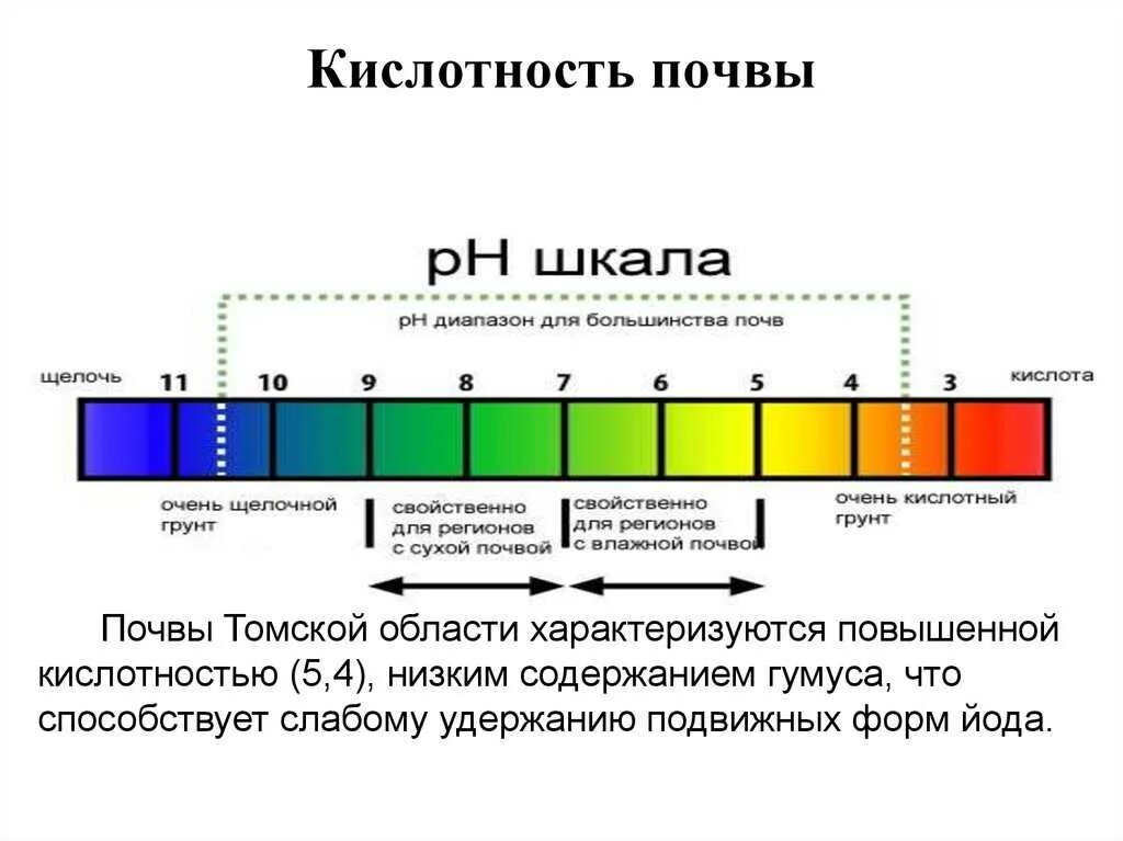 Число кислотности. Шкала кислотности PH почвы. Кислотно-щелочной баланс почвы для растений таблица. Водородный показатель почвы. Кислотность плодородной почвы.