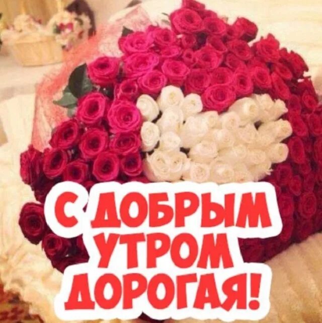 Открытки с добрым утром любимой жене. Открытки с добрым утром любимая. С добрим утро дорогаяя. С добрым утром любимой девушке. Красивые картинки с добрым утром девушке.