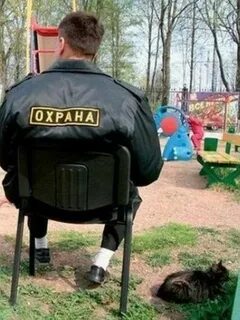 Охрана смешные картинки