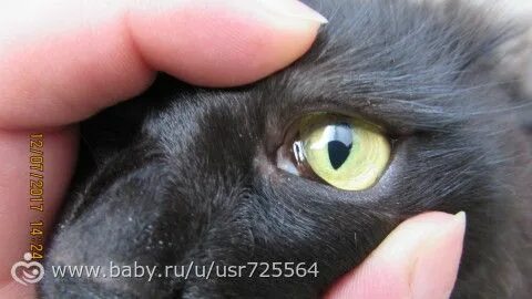 Как сделать 3 веко