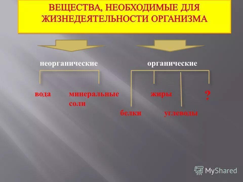 Органический и неорганический мир