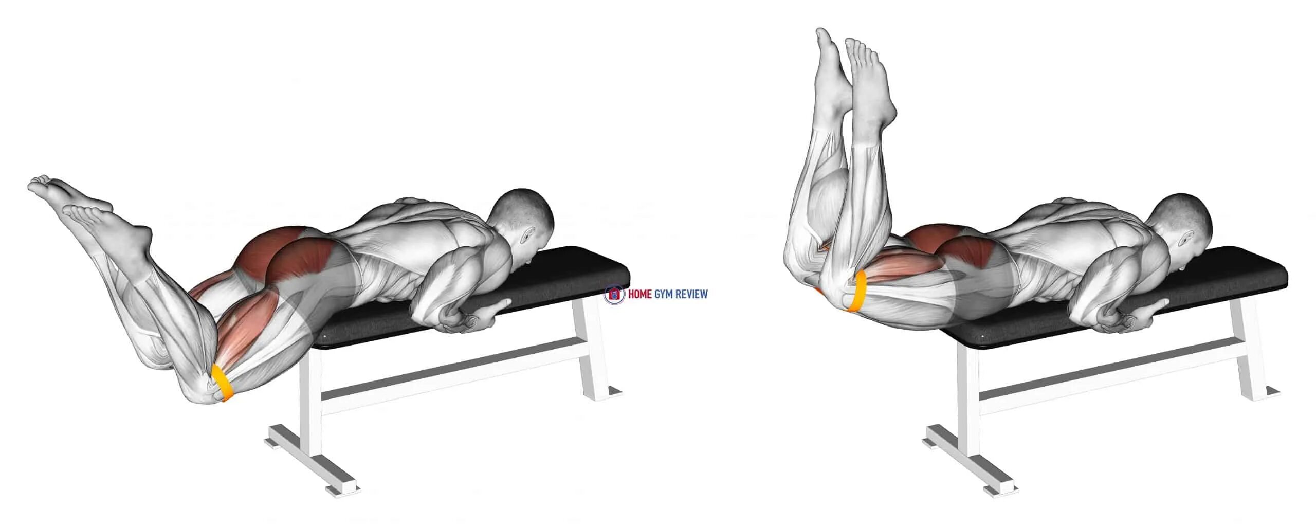 Reverse definition. Reverse hyperextension. hyperextension variations. hyperextension на полу руками до пяток. reverse amergo.