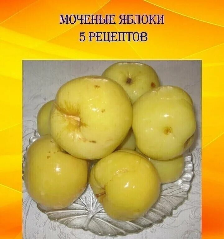 Рецепт моченых яблок в банки. Яблоня Антоновка моченые. Моченые яблоки Антоновка. Сорт яблок моченые. Мочёные яблоки Антоновка в ведре.