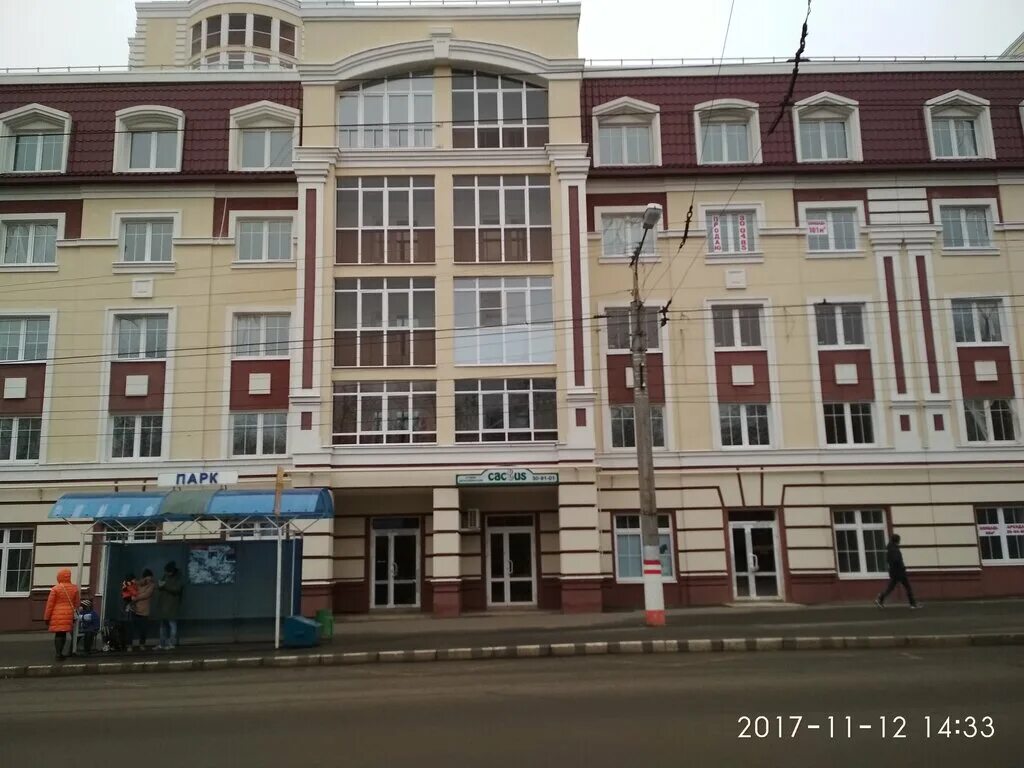 Кактус микс d5,5. Пролетарская 21 саранск. Пролетарская 38 саранск сервисный центр. Кактус саранск. Кактус микс d5.