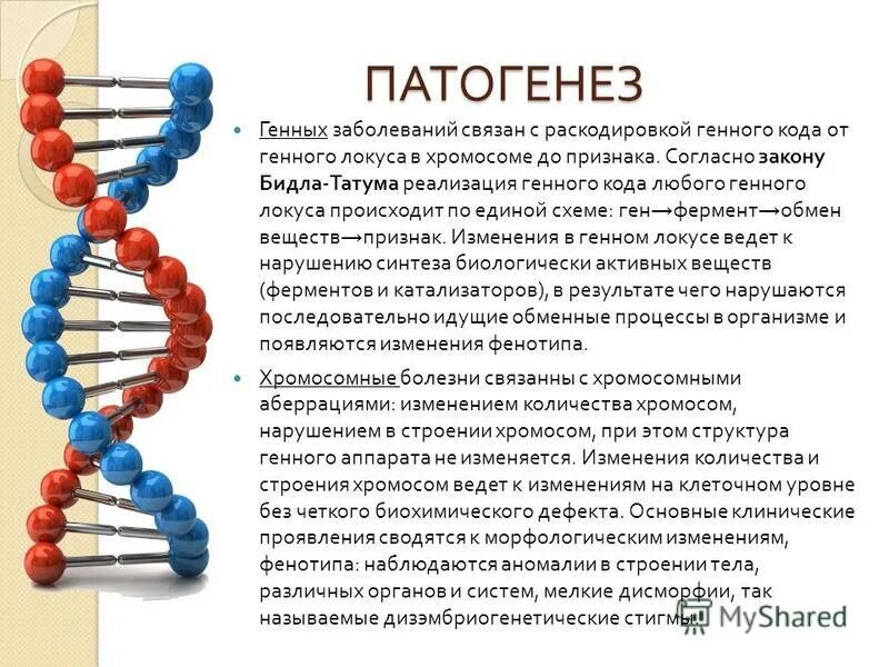 Ген заболевания. Патогенез генных наследственных болезней. Этиология генных болезней. Механизм развития генных болезней. Общий патогенез генных болезней.