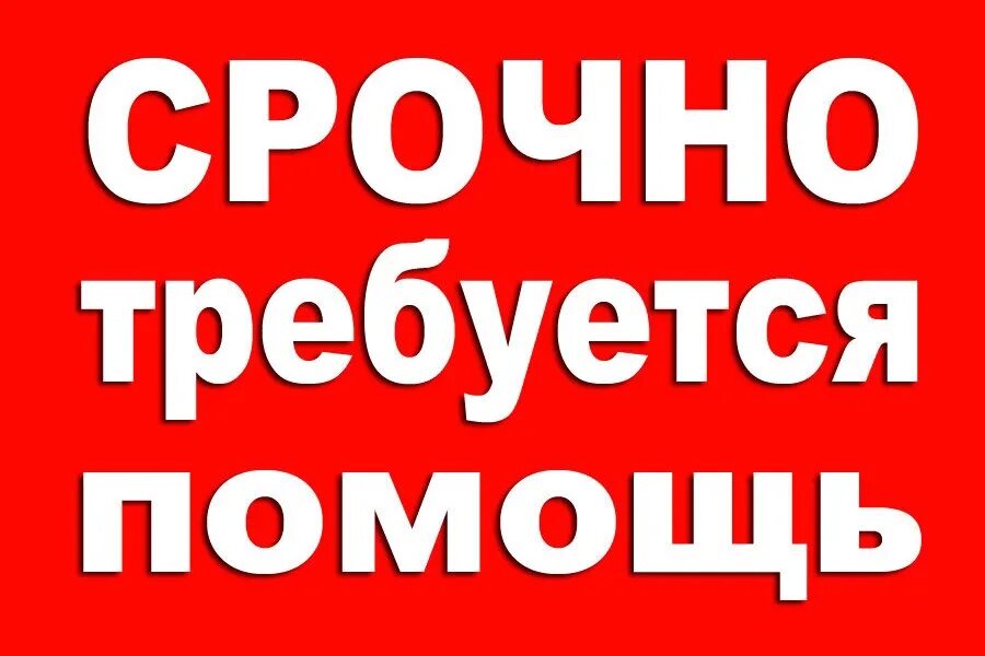 Требуется помощь. Срочно требуется помощь. Срочно нужна помощь. Требуется срочная помощь. Срочная помощь на карту