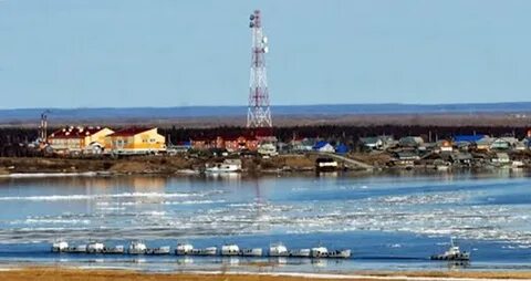 Погода шурышкары