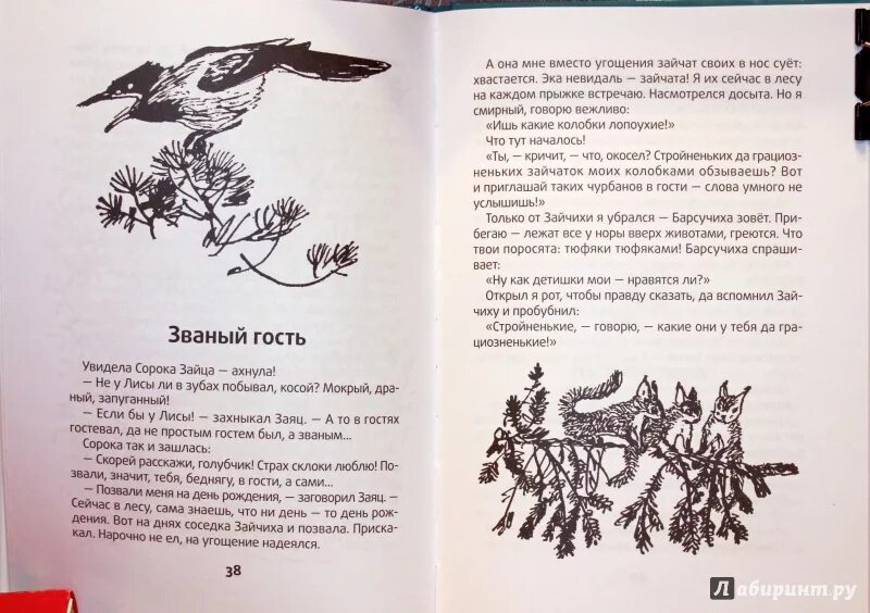 Сладков рассказы распечатать. Н Сладков весенние радости. Сладков иллюстрации к произведениям. Сладков весенние радости читать.