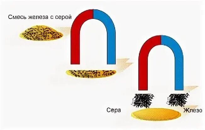Смесь железных опилок и серы можно разделить. Разделение смесей магнитом. Разделение смесей действие магнитом. Разделение с помощью магнита. Способ разделения смесей магнитом.
